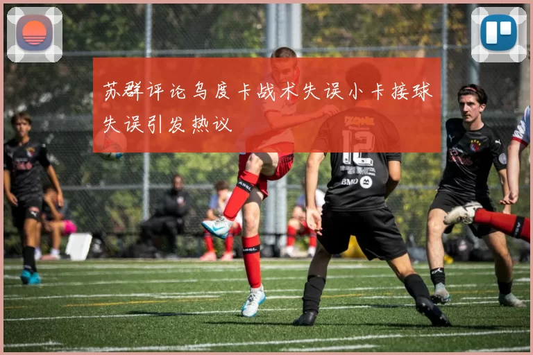 苏群评论乌度卡战术失误小卡接球失误引发热议