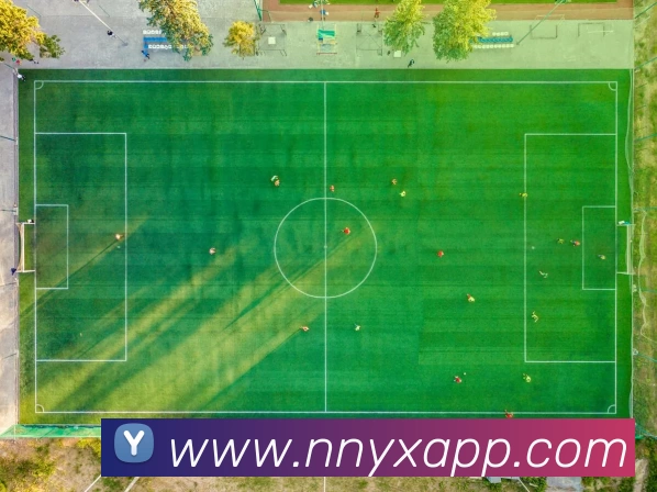 牛牛游戏APP平台生态图